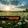 Мұқаба Vytlyk - Стань моей королевой (DJ Nowitzki Remix) Vytlyk - Стань моей королевой (DJ Nowitzki Remix)