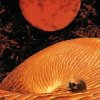 Мұқаба Шаййм - 4 стороны Шаййм - 4 стороны