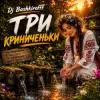 Мұқаба Dj Bashkirofff - Три криниченьки Dj Bashkirofff - Три криниченьки