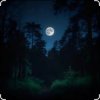 Мұқаба Dj Calma - Silent Distance (Original Mix) Dj Calma - Silent Distance (Original Mix)