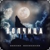 Мұқаба Виктор Могилатов - Волчица Виктор Могилатов - Волчица