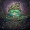 Мұқаба GABBГ - Mycelium Protocol GABBГ - Mycelium Protocol