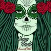 封面 Shiny Radio - Read My Lips (Original Mix) Shiny Radio - Read My Lips (Original Mix)