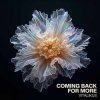 Мұқаба ViTaLiKuS - Coming Back for More ViTaLiKuS - Coming Back for More