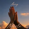 Мұқаба NICOLE - Лечу NICOLE - Лечу