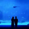 Мұқаба Mattyeux & Princess Chelsea & Vieoclub - Sometimes Mattyeux & Princess Chelsea & Vieoclub - Sometimes
