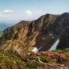 Мұқаба Василь Білоус - Завтра Василь Білоус - Завтра