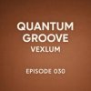 Мұқаба Vexlum - Quantum Groove 030 Vexlum - Quantum Groove 030