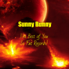 Мұқаба Sunny Bunny - The Best of You So Fat Records! Sunny Bunny - The Best of You So Fat Records!