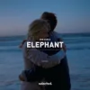 Мұқаба Don Diablo - Elephant Don Diablo - Elephant
