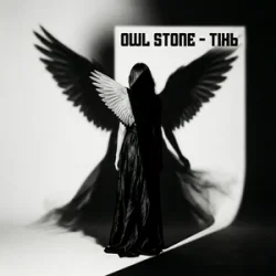 Мұқаба Owl Stone - Тінь