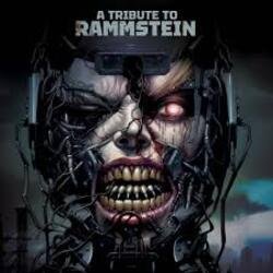Мұқаба Turbodrom - Tier