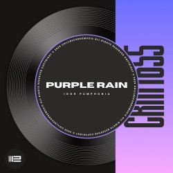 Мұқаба Igor Pumphonia - Purple Rain