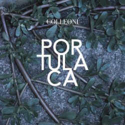 Мұқаба Colleoni - Senza Primavera