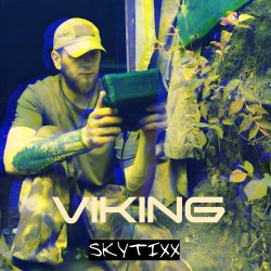 Мұқаба Viking (Original Mix)
