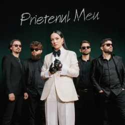 Мұқаба Tania Turtureanu - Prietenul Meu
