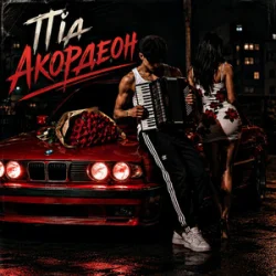 Мұқаба ZVUCAR & Kamelii Merlina - Під Акордеон