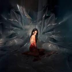 Мұқаба Noémi Büchi - The cryptic precision