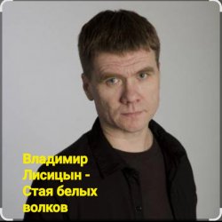 Мұқаба Владимир Лисицын - Стая белых волков