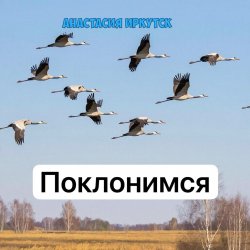 Мұқаба Анастасия Иркутск - Поклонимся