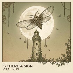 Мұқаба ViTaLiKuS - Is There a Sign