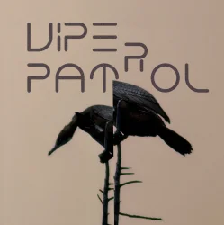 Мұқаба Viper Patrol - What Is (Original Mix)