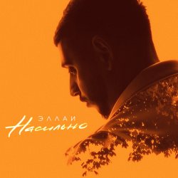 Мұқаба Эллаи - Насильно