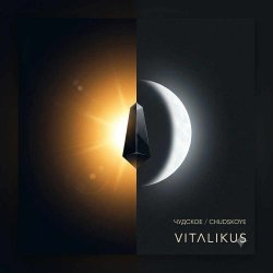 Мұқаба ViTaLiKuS - Чудское (Chudskoye) (Original Chill Mix)
