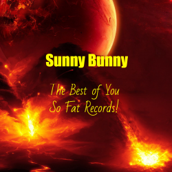 Мұқаба The Best of You So Fat Records!