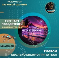 TMGrom - Сколько можно прятаться (soundhunter.pro)