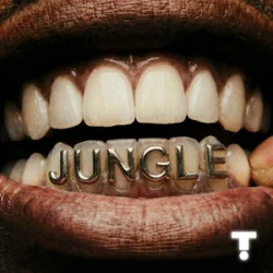 Мұқаба TroyBoi & Shiwa - Jungle