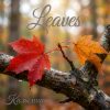 Калымщик - Leaves