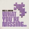 Мұқаба BCee & Javeon - What You're Missing BCee & Javeon - What You're Missing