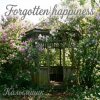 Мұқаба Калымщик - Forgotten happiness Калымщик - Forgotten happiness