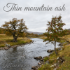 Мұқаба Калымщик - Thin mountain ash Калымщик - Thin mountain ash