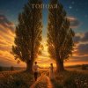 Мұқаба Марсель Давлетов - Тополя Марсель Давлетов - Тополя