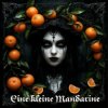 Мұқаба DJ Katya Kadykov - Eine kleine Mandarine DJ Katya Kadykov - Eine kleine Mandarine