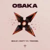Мұқаба BEAUZ & Party Pi & triangel - OSAKA BEAUZ & Party Pi & triangel - OSAKA