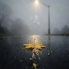 Роман - ОСЕНЬ