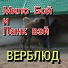 Мұқаба Мило Бой - " верблюд " Мило Бой - " верблюд "