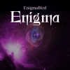Мұқаба EnigmaBird - Enigma EnigmaBird - Enigma