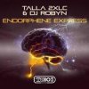 Мұқаба Talla 2XLC & DJ Robyn - Endorphene Express (Extended Mix) Talla 2XLC & DJ Robyn - Endorphene Express (Extended Mix)