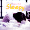 Мұқаба EnigmaBird - Sleepy EnigmaBird - Sleepy