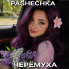 Мұқаба Pashechka - Черёмуха. Pashechka - Черёмуха.