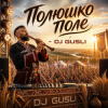 Мұқаба DJ GUSLI - Полюшко-поле DJ GUSLI - Полюшко-поле