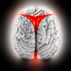 Мұқаба Brains 5 [2019]