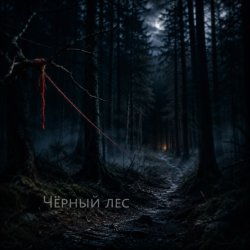 Мұқаба Чёрный лес