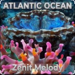Мұқаба MelodiZenith - Atlantic Ocean