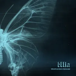 Мұқаба éllia - Сонце