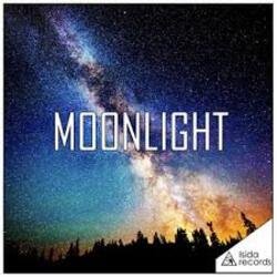 Мұқаба PRIMAXS - Moonlight